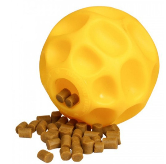 brinquedo de borracha do cão da bola