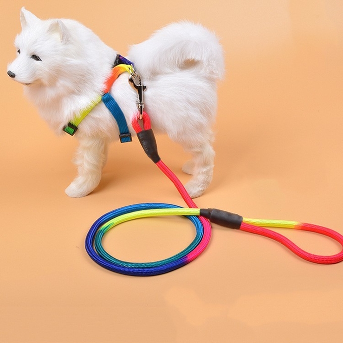 ligação personalizada do cão